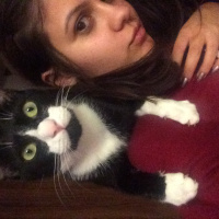 Tuxedo (Smokin) Kedi, Kedi  Pasha fotoğrafı