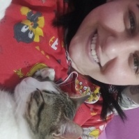 Tekir Kedi, Kedi  Fındık fotoğrafı