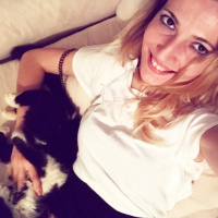 Tekir Kedi, Kedi  Misket fotoğrafı
