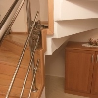 Tekir Kedi, Kedi  Linda fotoğrafı