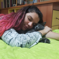Mavi Rus, Kedi  Ares fotoğrafı