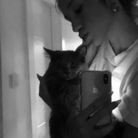 Nebelung, Kedi  Luna fotoğrafı