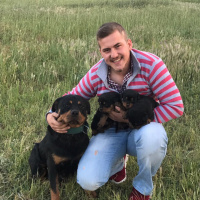 Rottweiler, Köpek  Eva fotoğrafı