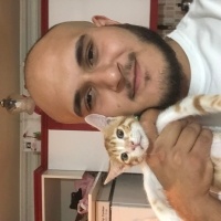 Sarman, Kedi  Şero fotoğrafı