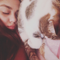 Tekir Kedi, Kedi  Pamir  fotoğrafı