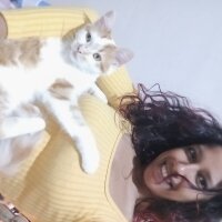 Sarman, Kedi  Sansa fotoğrafı