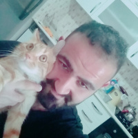 Tekir Kedi, Kedi  Capkin fotoğrafı