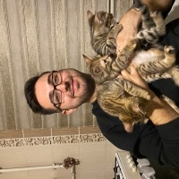 Tekir Kedi, Kedi  Adsız fotoğrafı