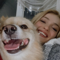 Pomeranyalı, Köpek  Zeus fotoğrafı