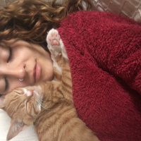 Soke, Kedi  Portakal (Porti) fotoğrafı