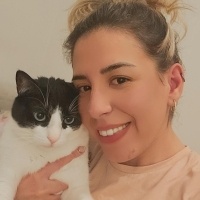 Tekir Kedi, Kedi  PABLO fotoğrafı