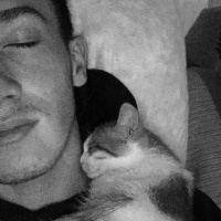 Tekir Kedi, Kedi  Ufaklık fotoğrafı