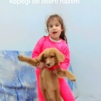 k1193469 kullanıcısının #214005 peti