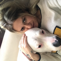 Dogo Arjantin, Köpek  Kaos fotoğrafı