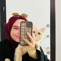 British Shorthair, Kedi  Şila fotoğrafı