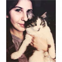 Chinchilla, Kedi  Minik fotoğrafı