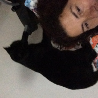 Bombay, Kedi  Kömür fotoğrafı