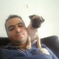 Pug, Köpek  RIFKIYE fotoğrafı