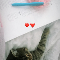 Tekir Kedi, Kedi  Müdüç fotoğrafı