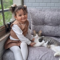 Tekir Kedi, Kedi  Turşu fotoğrafı