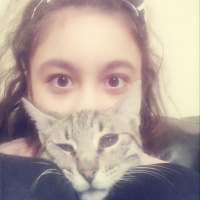 Bengal, Kedi  Gümüş fotoğrafı