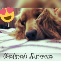 İngiliz Cocker Spaniel, Köpek  Gofret arven  fotoğrafı