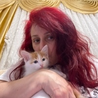 Tekir Kedi, Kedi  4 yavru isimsiz fotoğrafı