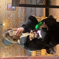 Chihuahua, Köpek  luna fotoğrafı