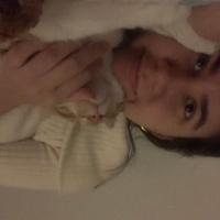 Tekir Kedi, Kedi  Lucky fotoğrafı