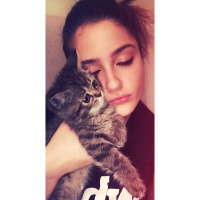 Chinchilla, Kedi  Venüs fotoğrafı