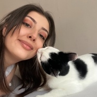 Tekir Kedi, Kedi  Prenses fotoğrafı