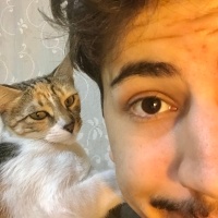 Tekir Kedi, Kedi  Nina fotoğrafı