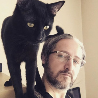 Bombay, Kedi  POE fotoğrafı