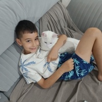 Van Kedisi, Kedi  Potter fotoğrafı