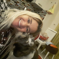 Shih Tzu, Köpek  Maya fotoğrafı