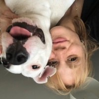 Dogo Arjantin, Köpek  Audrey fotoğrafı