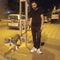 k1331229 kullanıcısının #233772 peti
