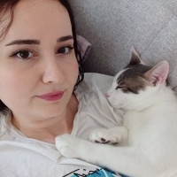 Tekir Kedi, Kedi  PAŞA fotoğrafı