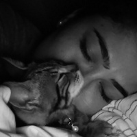 Tekir Kedi, Kedi  Efe fotoğrafı
