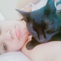 Tekir Kedi, Kedi  Boncuk fotoğrafı
