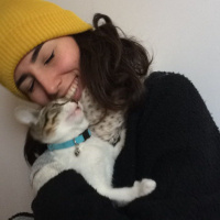 Tekir Kedi, Kedi  Gündüz fotoğrafı
