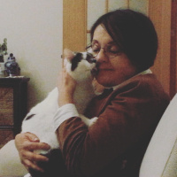 Tekir Kedi, Kedi  Pufy fotoğrafı