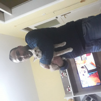 Tekir Kedi, Kedi  Petra  fotoğrafı
