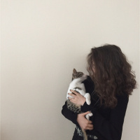 American Bobtail, Kedi  Çakıl fotoğrafı
