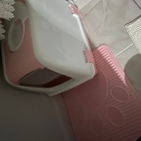 Tuxedo (Smokin) Kedi, Kedi  Leke fotoğrafı