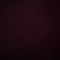 Tekir Kedi, Kedi  Minni fotoğrafı