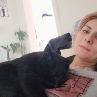 Bombay, Kedi  Gece fotoğrafı