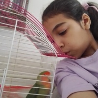 Papağan, Kuş  Yaprak fotoğrafı