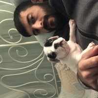 Fransız Bulldog, Köpek  Lesley fotoğrafı