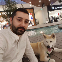 Akita İnu, Köpek  Hachiko fotoğrafı